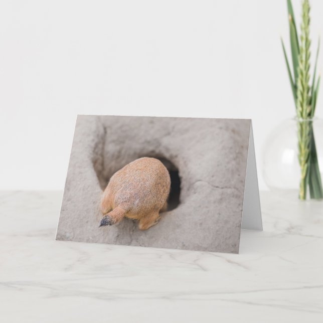 Prairie Hund Butt Kort (Framsida)