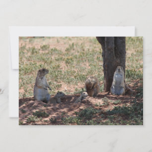 Prairie Hund Family Anteckningskort