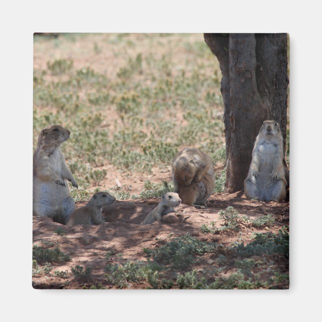 Prairie Hund Family Magnet (Framsidan)