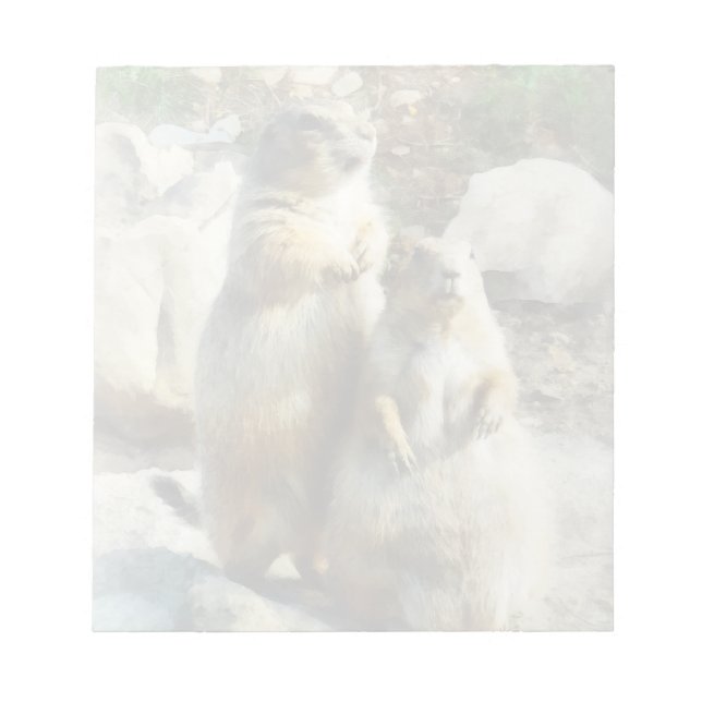 Prairie Hund Formal Porträtt Anteckningsblock (Framsida)