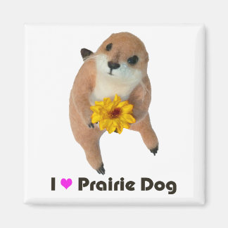 prairie hund, full leksak magnet
