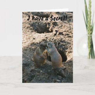 Prairie Hund Greeting Card Kort