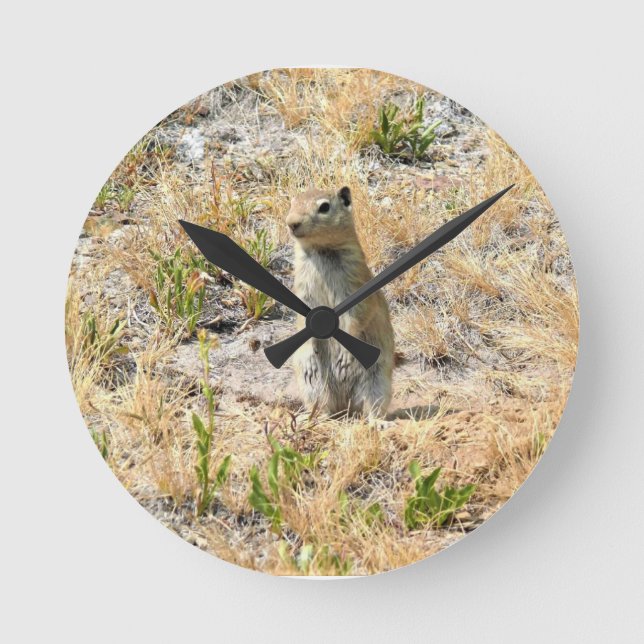 Prairie Hund in Yosemite, CA Rund Klocka (Framsida)