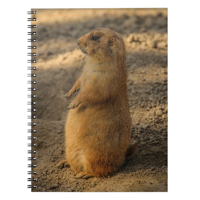 Prairie Hund Notebook Anteckningsbok (Framsidan)
