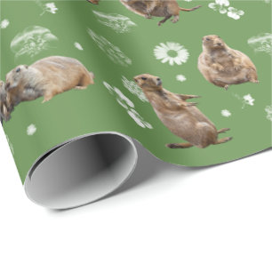 Prairie Hund Party Wrapping Papper (Grönt) Presentpapper