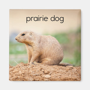 Prairie Hund Refrigerator Magnet