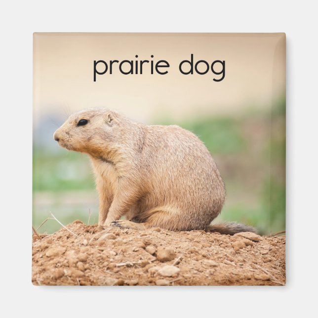 Prairie Hund Refrigerator Magnet (Framsidan)
