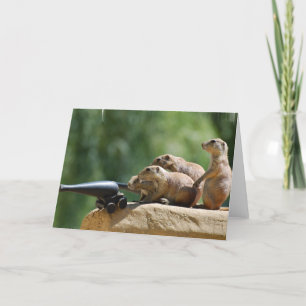 Prairie Hund Soldiers Greeting Card Kort