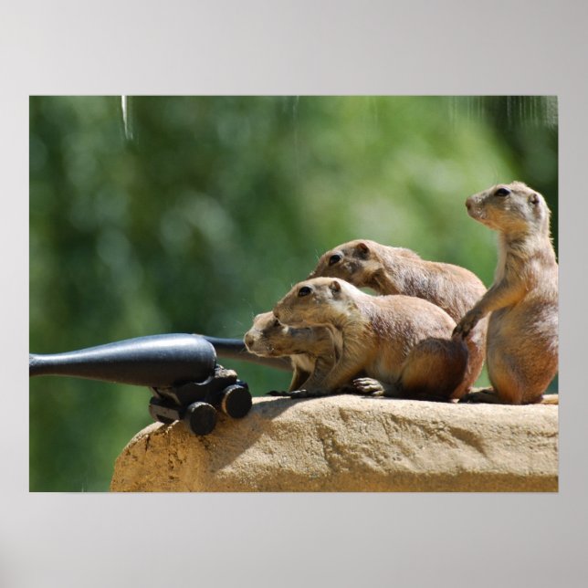 Prairie Hund Soldiers Poster (Framsidan)