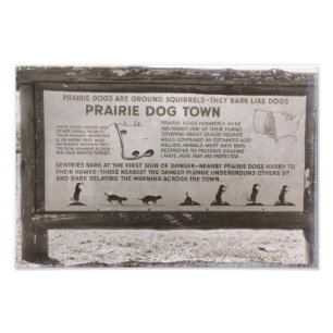 Prairie Hund Town South Dakota Vind Cave Retro Fototryck