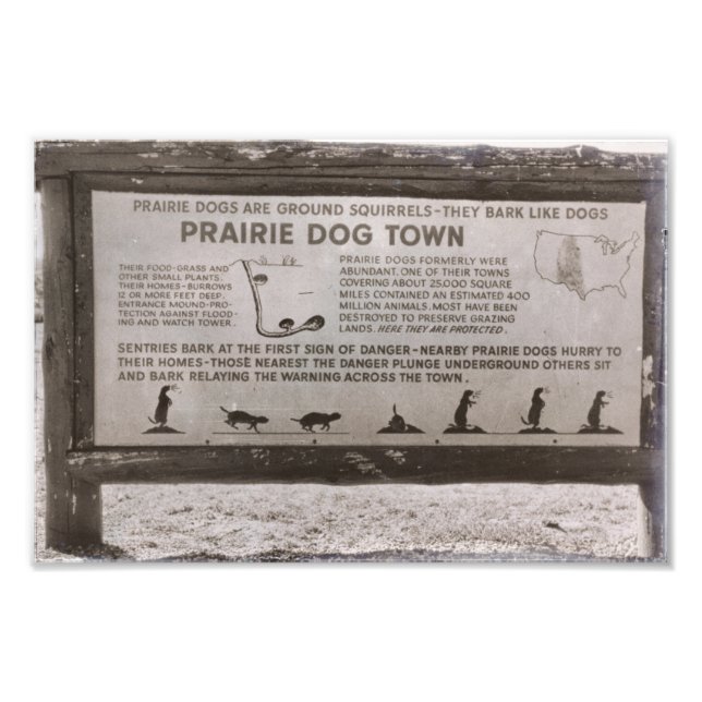 Prairie Hund Town South Dakota Vind Cave Retro Fototryck (Framsidan)