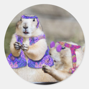 Prairie Hundar är GROOVY! Runt Klistermärke