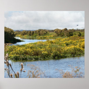 Prairie in Bloom Art Print -24x20-andra storlekar Poster