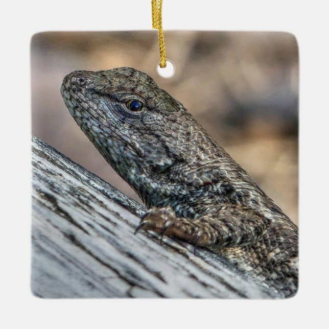 Prairie Lizard Julgransprydnad Keramik (Framsida)