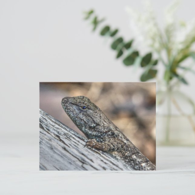 Prairie Lizard Vykort (Stående Fram)
