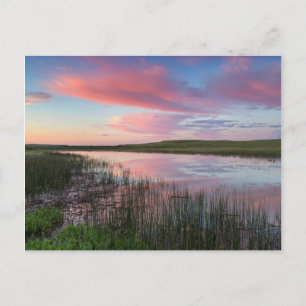 Prairie Pond reflekterar briljanta solskensmoln Vykort