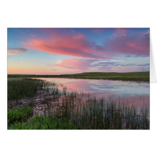 Prairie Pond reflekterar briljantmoln för soluppgå Hälsningskort