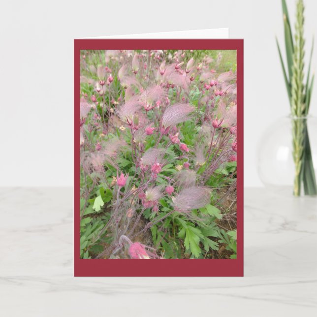 Prairie Smoke Blank Note Card Kort (Framsida)