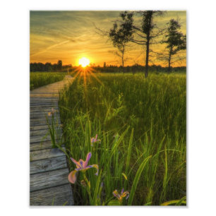 Prairie Sunset Fototryck