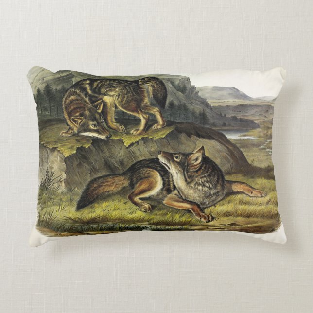 Prairie Varg (Coyote) från Audubon's Quadrupeds Prydnadskudde (Framsidan)