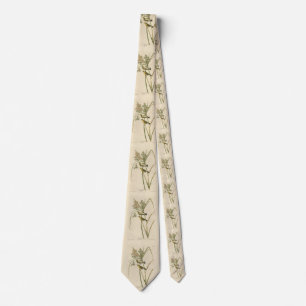 Prairie Warbler från Audubon's Birds of America Slips