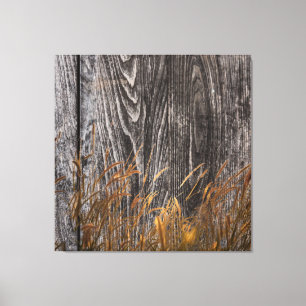 Prairie Wheat on Barn Board Canvastryck