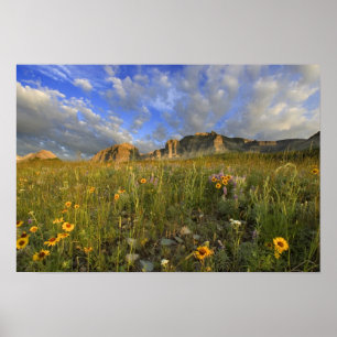 Prairie Wildblommor på Windy Bäck i The Many Poster