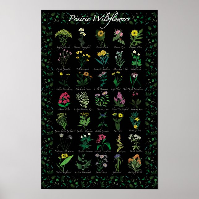 Prairie Wildblommor Poster (Framsidan)
