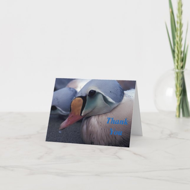 praktejderhane tackkort (Framsida)