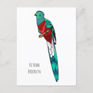 Praktfågel Quetzal-fågel tecknad illustration Vykort
