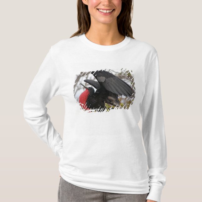 Praktfregattfågel T Shirt (Framsida)