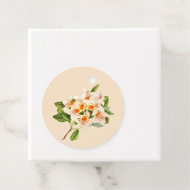 Praktfull azalea, Blommande orange  Gåvor Etiketter (På plats)