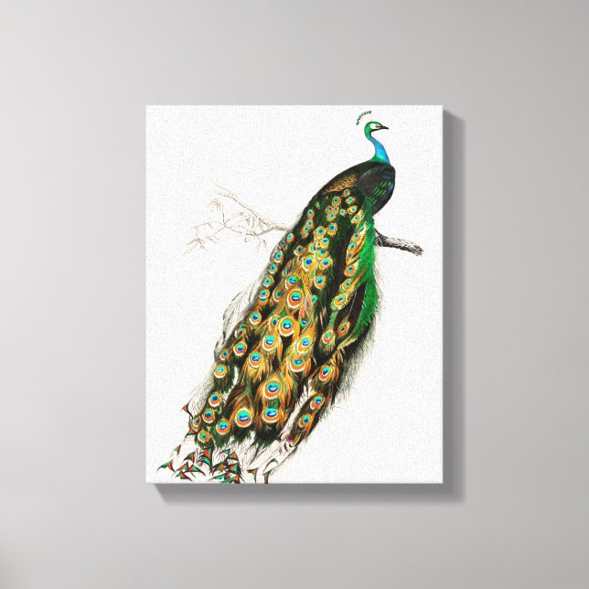 Praktfull illustration Vintage konsttryck Canvastryck (Framsida)