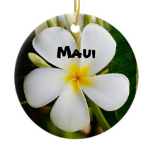 Praktfull Maui