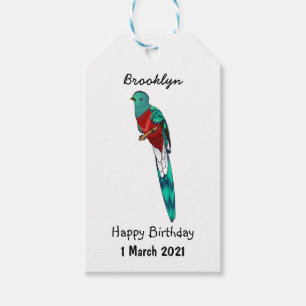 Praktfull quetzalfågel tecknad illustration presentetikett
