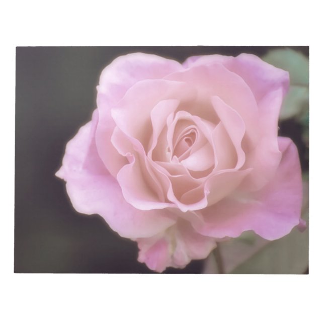 Praktfull rosa ros anteckningsblock (Framsida)