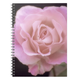 Praktfull rosa ros anteckningsbok