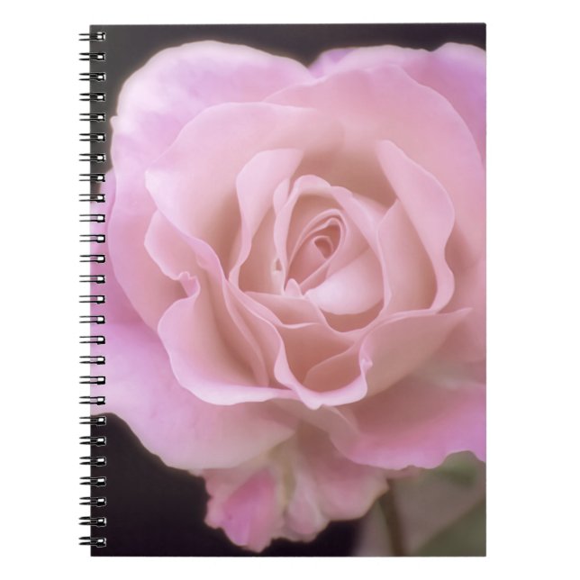 Praktfull rosa ros anteckningsbok (Framsidan)