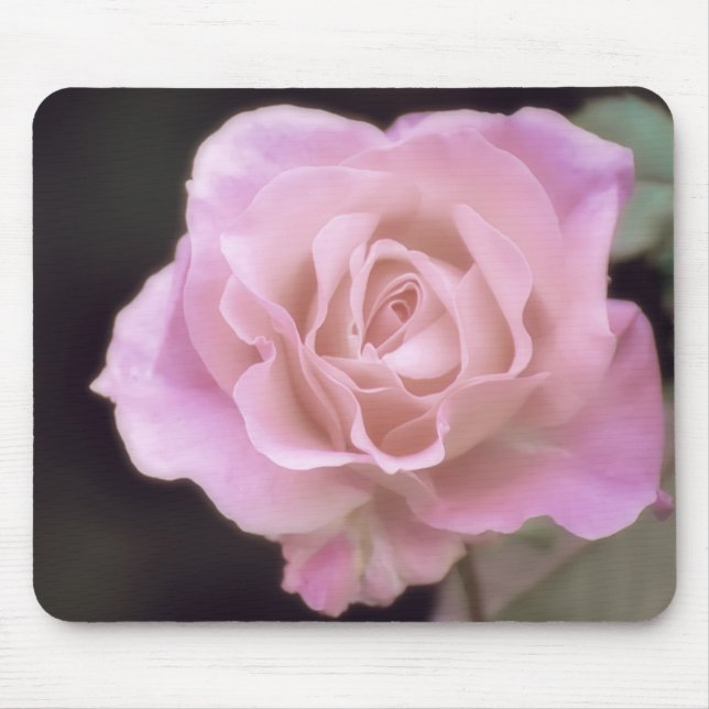 Praktfull rosa ros musmatta (Framsidan)