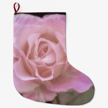 Praktfull rosa ros