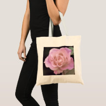 Praktfull rosa ros