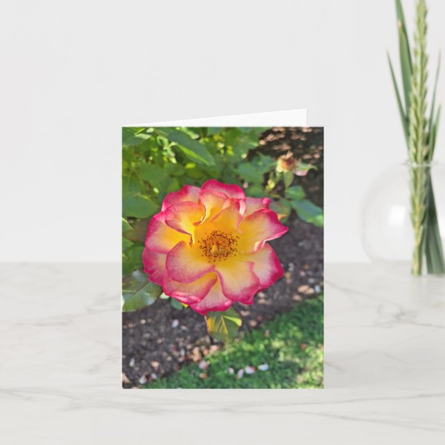 Praktfull rosa sommarblomning helgkort (Framsida)