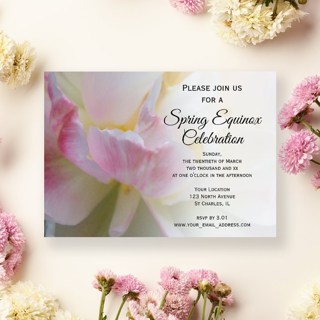 Praktfull Rosa Vit Tulpan Vårdagjämning Celebratio Inbjudningar (Skapare uppladdad)