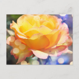 Praktig gul rosblomma. Blomfotografering. Vykort