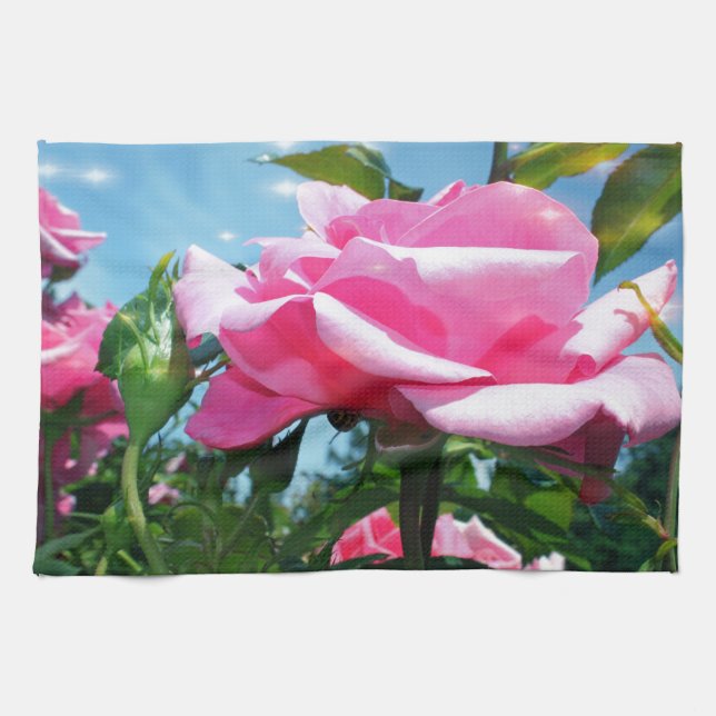 Praktisk rosa ros i blå himmel. Blomfotografering Kökshandduk (Horisontell)