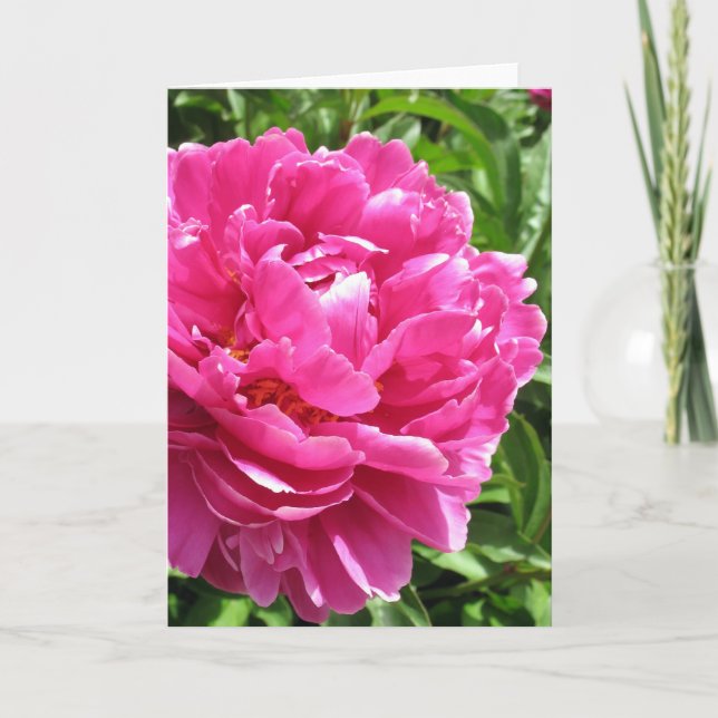 Praktiskt taget Perfekt Peony Kort (Framsida)