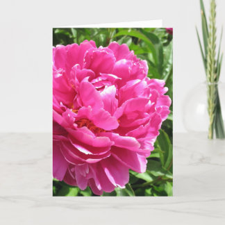 Praktiskt taget Perfekt Peony Kort