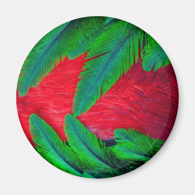 Praktquetzal fjäderdesign magnet (Framsidan)