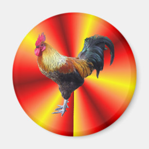 Prålig tupp magnet
