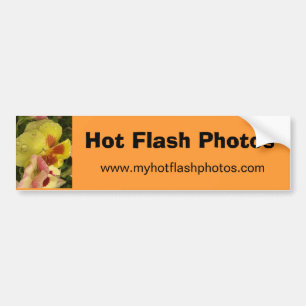 Pråliga foto för hett bildekal
